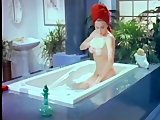 Sexy vintage porn - VCA
